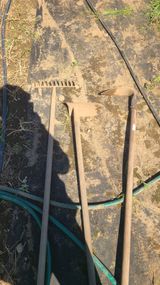 팜모닝 배추·파종•정식 게시글 이미지