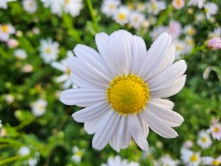 채경희님의 자유주제 · 사진전 작성글 사진