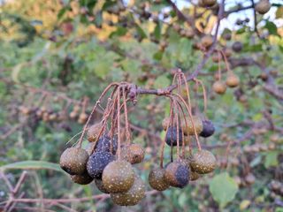 이정운님의 기타작물 · 자유게시판 작성글 사진