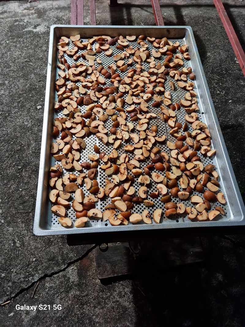 대봉매실주말농부님의 장터 판매 상품 [토종 건조약돌배 1팩(600)g] 첨부 사진