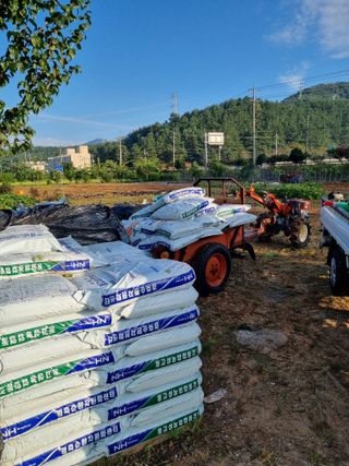 마늘6843님의 ↑ 윷놀이 하고 추석덕담 하기 · 참여글 작성글 사진