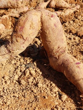 이정호님의 자유주제 · 자유게시판 작성글 사진