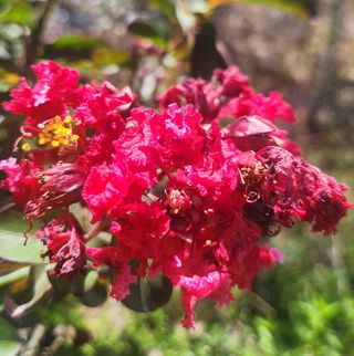 이재오님의 ↑ 윷놀이 하고 추석덕담 하기 · 참여글 작성글 사진