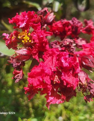 이재오님의 ↑ 윷놀이 하고 추석덕담 하기 · 참여글 작성글 사진