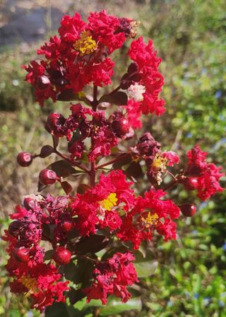이재오님의 ↑ 윷놀이 하고 추석덕담 하기 · 참여글 작성글 사진
