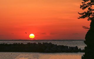 강남해님의 ↑ 윷놀이 하고 추석덕담 하기 · 참여글 작성글 사진