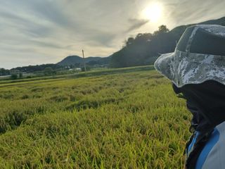 한재승님의 벼 · 영농일지 작성글 사진