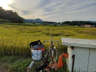 한재승님의 벼 · 영농일지 작성글 사진