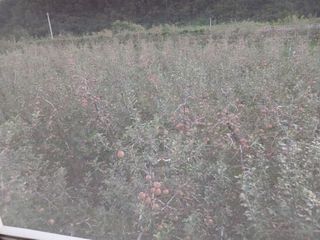 알 수 없음님의 우리동네 · 동네수다 작성글 사진