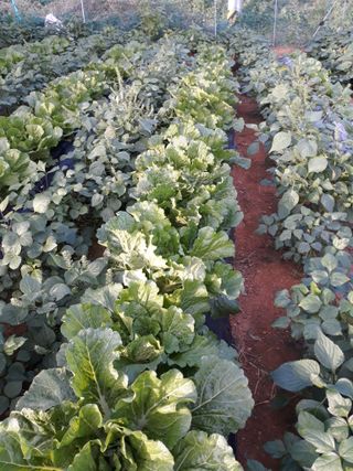 조동원님의 자유주제 · 자유게시판 작성글 사진