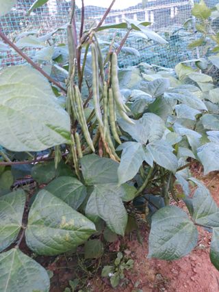 조동원님의 자유주제 · 자유게시판 작성글 사진