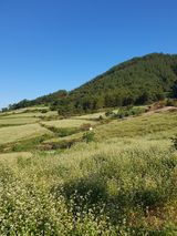 팜모닝 자유주제·자유게시판 게시글 이미지