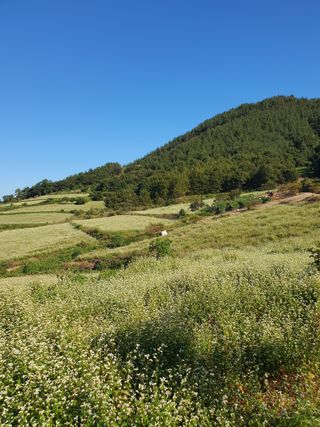 따스한햇살과열매님의 자유주제 · 자유게시판 작성글 사진