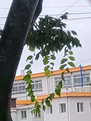 한&균님의 ↑ 윷놀이 하고 추석덕담 하기 · 참여글 작성글 사진