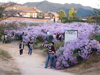 알 수 없음님의 ↑ 윷놀이 하고 추석덕담 하기 · 참여글 작성글 사진