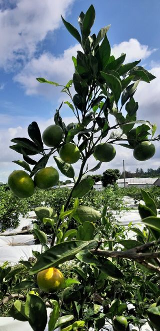 돌담님의 작성글 사진