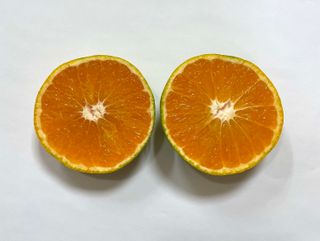 돌담님의 작성글 사진