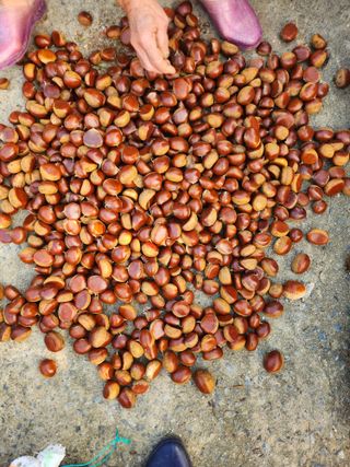 김연숙님의 자유주제 · 자유게시판 작성글 사진