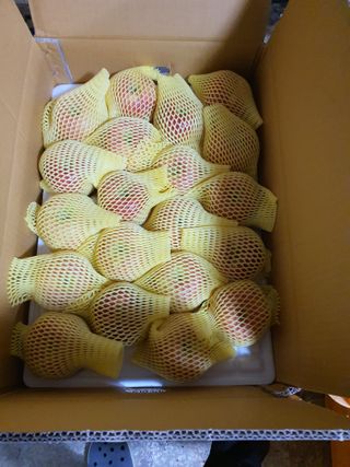 또바기사과(이훈희)님의 작성글 사진