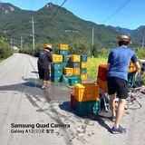 팜모닝 자유주제·자유게시판 게시글 이미지