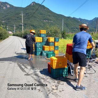 최동구님의 자유주제 · 자유게시판 작성글 사진