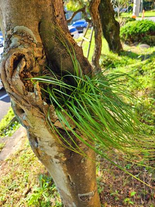 이형록님의 버섯 · 일상 작성글 사진