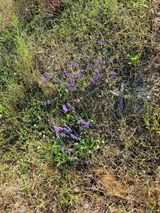 팜모닝 자유주제·사진전 게시글 이미지