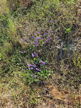 산골대추님의 자유주제 · 사진전 작성글 사진