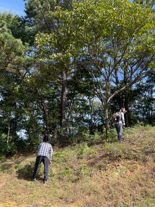 오현백님의 ↑ 윷놀이 하고 추석덕담 하기 · 참여글 작성글 사진