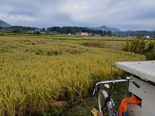 한재승님의 벼 · 영농일지 작성글 사진