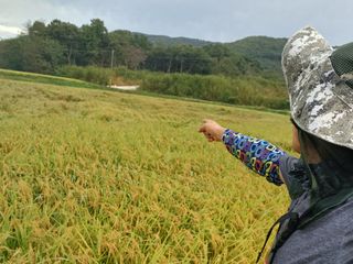한재승님의 벼 · 영농일지 작성글 사진