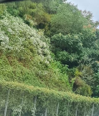 달방구님의 자유주제 · 자유게시판 작성글 사진