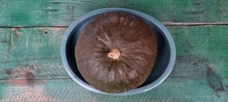 달방구님의 자유주제 · 자유게시판 작성글 사진