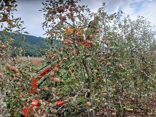 알 수 없음님의 우리동네 · 동네수다 작성글 사진
