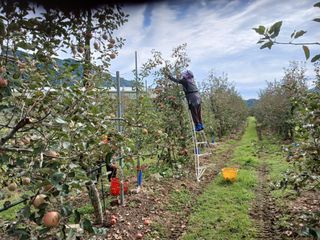 알 수 없음님의 우리동네 · 동네수다 작성글 사진