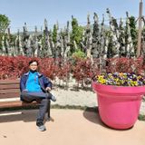 팜모닝 ↑ 윷놀이 하고 추석덕담 하기·참여글 게시글 이미지