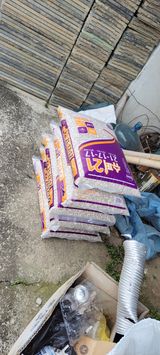 팜모닝 배·일상 게시글 이미지