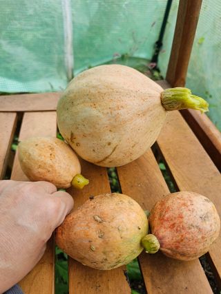 김윤숙님의 자유주제 · 자유게시판 작성글 사진