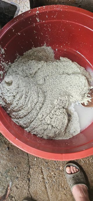 단양유기마늘이종모님의 자유주제 · 자유게시판 작성글 사진