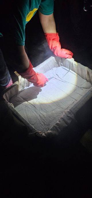 단양유기마늘이종모님의 자유주제 · 자유게시판 작성글 사진