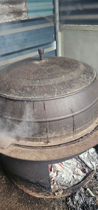 단양유기마늘이종모님의 자유주제 · 자유게시판 작성글 사진