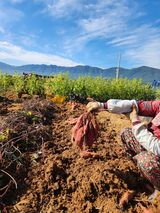 팜모닝 우리동네·동네자랑 게시글 이미지