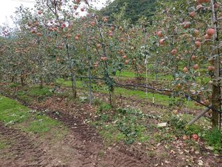 알 수 없음님의 우리동네 · 동네수다 작성글 사진