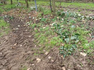 알 수 없음님의 우리동네 · 동네수다 작성글 사진