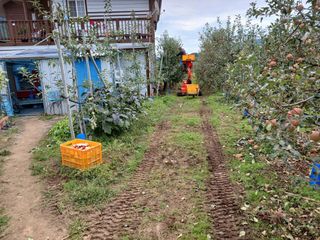 알 수 없음님의 우리동네 · 동네수다 작성글 사진