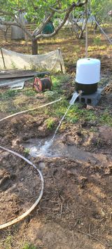 팜모닝 · 게시글 이미지