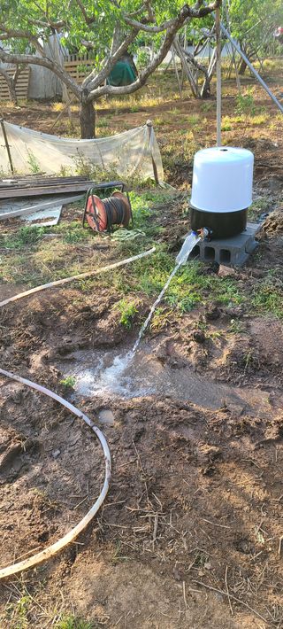 김호영님의 작성글 사진