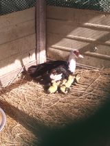 팜모닝 자유주제·자유게시판 게시글 이미지