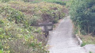 유자황칠님의 벼 · 영농일지 작성글 사진