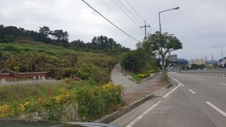 유자황칠님의 벼 · 영농일지 작성글 사진